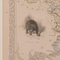 Antica mappa litografia, Immagine 8