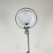 Vintage Stripped and Polished 6 Arm Jielde Floor Lamp by Jean-Louis Domecq, 1950s, Image 3