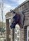 Life-Size Horse Head Sculpture, 1940s 4