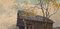 Giuseppe Gheduzzi, paisaje, principios de 1900, óleo sobre madera, enmarcado, Imagen 6
