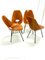 Medea Chairs by Vittorio Nobili for Fratelli Tagliabue, 1955, Set of 4 10