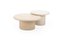 Natural Plaster Coffee Table by Isabelle Beaumont, Set of 2 1