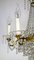 Brass and Lead Crystal Chandelier from Palwa, 1950s 16