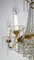 Brass and Lead Crystal Chandelier from Palwa, 1950s 14