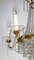 Lámpara de araña de latón y cristal de plomo de Palwa, años 50, Imagen 14