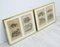 Framed Zoological Pictures, 1970s, Set of 2 5