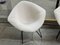 421 Diamond Chairs in Black with Off White Upholstery by Harry Bertoia for Knoll, 1980s, Set of 2 3