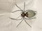 Metal and Glass Spider Lamp, Image 6