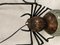 Metal and Glass Spider Lamp, Image 2