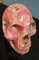 Crâne en Minéral Rhodochrosite 16