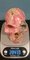 Skull in Rhodochrosite Mineral 21