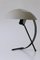 Mid-Century NB100 Table Lamp or Desk Light by Louis Kalff for Philips, 1950s 5