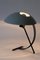 Mid-Century NB100 Table Lamp or Desk Light by Louis Kalff for Philips, 1950s 4