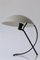 Mid-Century NB100 Table Lamp or Desk Light by Louis Kalff for Philips, 1950s 7