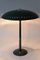 Mid-Century Timor Table Lamp by Louis Kalff for Philips, 1950s, Image 7