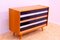 Mid-Century U-458 Chest of Drawers by Jiri Jiroutek, 1960s, Image 3