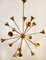 Sputnik 18-Light Hanging Lamp in Brass 3