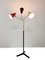 Mid-Century Floor Lamp by H. Th. J. A. Busquet for Hala, 1950s 2