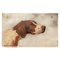 S Bevilacqua, Gun Dogs, 1920, Oil on Marble Paintings, Set of 5 48