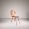 Lulli Chairs in Bentwood by Carlo Ratti, 1950s, Set of 4 1