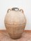 Terracotta Amphora Vase with Torchion Handles, 20th Century 5