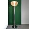 Moana Floor Lamp by Luigi Massoni for Guzzini, 1970s, Image 2