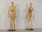 Artistic Lay Figures, 1980s, Set of 4 3