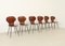 Plywood Side Chairs by Carlo Ratti, Italy, 1950s, Set of 6 2