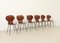 Plywood Side Chairs by Carlo Ratti, Italy, 1950s, Set of 6, Image 2