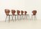 Plywood Side Chairs by Carlo Ratti, Italy, 1950s, Set of 6, Image 14