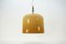 Vintage Ceiling Light by Luigi Massoni for Guzini 4