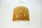 Vintage Ceiling Light by Luigi Massoni for Guzini 7