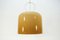 Vintage Ceiling Light by Luigi Massoni for Guzini 8