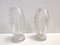 Transparent Bullicante Murano Glass Vases attributed to Ercole Barovier, 1930s, Set of 2 1