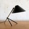 Lampe Pinocchio avec Abat-Jour Noir par H. Busquet pour Hala Zeist, Pays-Bas, 1950s 2