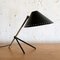 Pinocchio Lamp with Black Shade by H. Busquet for Hala Zeist, Netherlands, 1950s 2