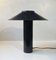 Danish Minimalist Table Lamp by Hans Schwazer for Royal Copenhagen, 1970s 9