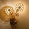 Vintage German Flower Crystal and Brass Wall Light from Palwa, 1960s, Set of 2 16