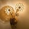 Vintage German Flower Crystal and Brass Wall Light from Palwa, 1960s, Set of 2, Image 16