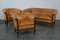 Club Armchairs and Sofa in Cognac Leather, Set of 3 1