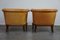 Club Armchairs and Sofa in Cognac Leather, Set of 3 13