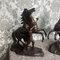 Coustou, Marley Horses, siglo XIX, bronces. Juego de 2, Imagen 2