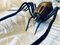 Italienische Mid-Century Spider Wandlampe aus Metall & Glas, 1950er 12