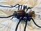 Mid-Century Italian Modern Metal and Glass Spider Wall Lamp, 1950s, Image 19