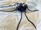 Mid-Century Italian Modern Metal and Glass Spider Wall Lamp, 1950s, Image 13