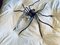 Italienische Mid-Century Spider Wandlampe aus Metall & Glas, 1950er 5