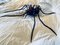 Italienische Mid-Century Spider Wandlampe aus Metall & Glas, 1950er 3