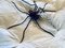 Mid-Century Italian Modern Metal and Glass Spider Wall Lamp, 1950s 4