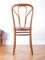 Art Nouveau Chair No.623 by Michael Thonet for Thonet, 1900s 6