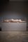 Nude Lady, 2000s, Wax Figure in Acrylic Glass 2